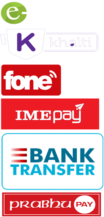 Payment Partner