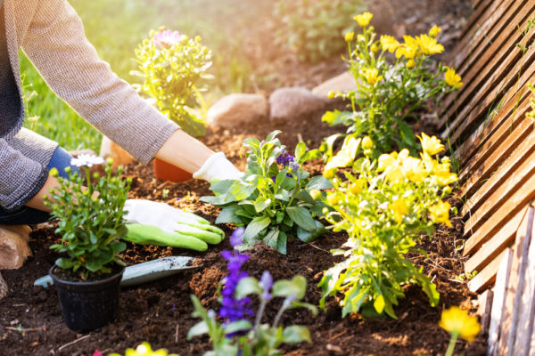 es-gardening.jpg